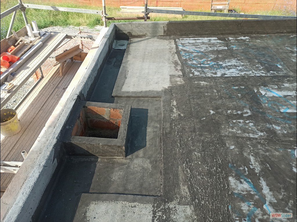 IMG_20230721_090833 IMG_20230721_090833